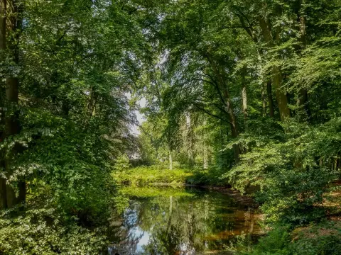 TS 20260717 ParkHuisDoorn 035 lr